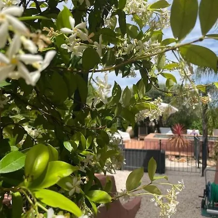 Provencale 4 Etoiles - Piscine & Jardin Zen Holiday home Sainte-Maxime